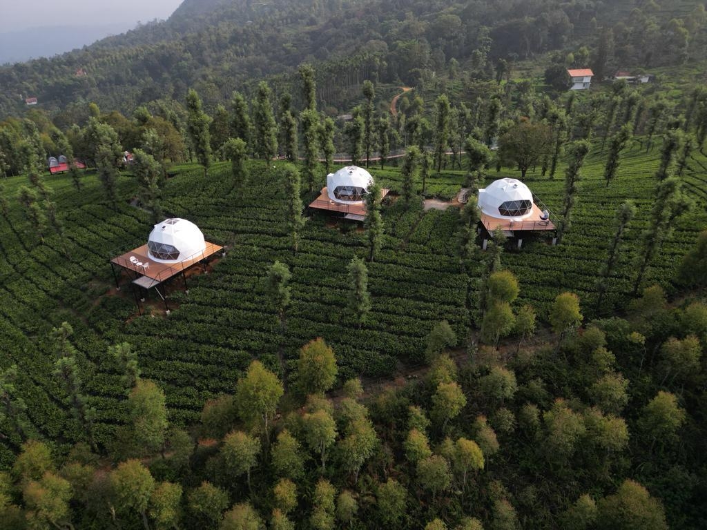 Vythiri Tea Valley